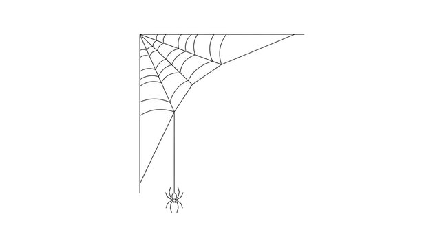 Intricate spider web drawing features a small hanging arachnid positioned in the corner creating a simple minimalist graphic design element isolated on a clean white background