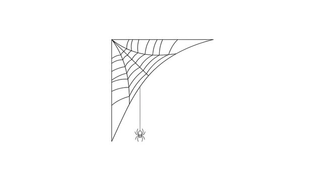 Detailed spider web illustration tucked in a corner with a small dangling spider hanging from a thin silk thread on a crisp clean white background