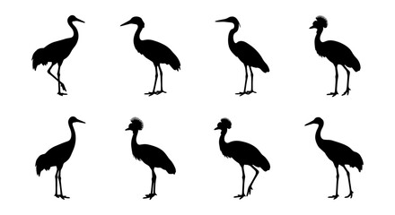Fototapeta premium Elegant Crane Silhouettes, Graceful Bird Poses, Wildlife Vector Icons, Nature Wildlife Graphics, Black and White Avian Art