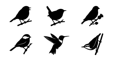 Fototapeta premium Vector Silhouettes of Six Diverse Birds Perched and Flying, Black and White Avian Icons for Nature and Wildlife Designs