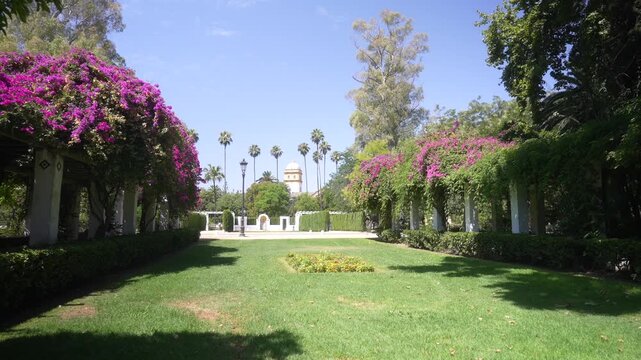 View of trees and shaded walks in Parque de Mari&shy;a Luisa on a sunny day, Seville, Andalusia, Spain