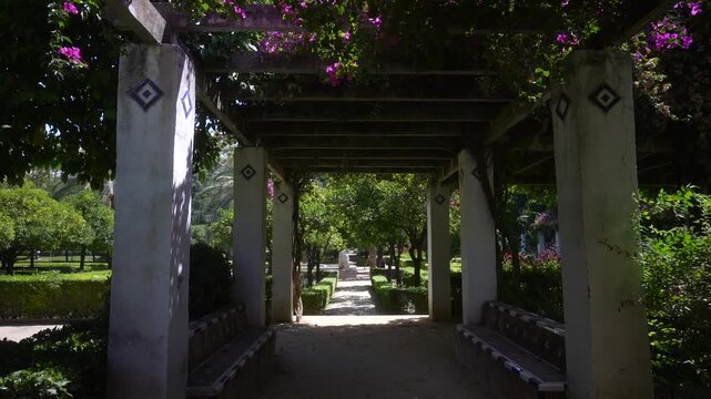 View of trees and shaded walks in Parque de Mari&shy;a Luisa on a sunny day, Seville, Andalusia, Spain
