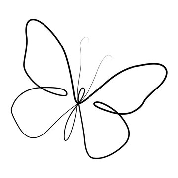 Continuous Line Art Butterfly Flying Insect Minimalist Line Drawing Vector Illustration in AI EPS SVG PNG