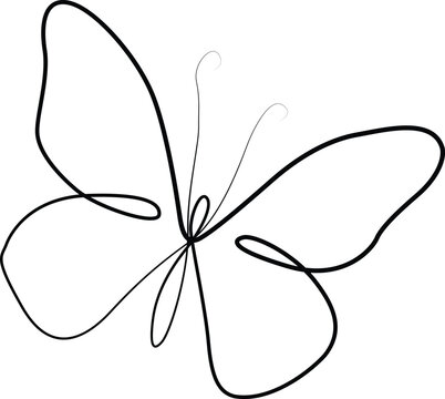 Continuous Line Art Butterfly Flying Insect Minimalist Line Drawing Vector Illustration in AI EPS SVG PNG