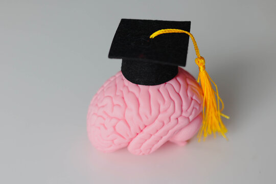 Pink brain wearing a graduation cap symbolizing intelligence, education, academic achievement, knowledge, learning and the development of professional skills and career potential.