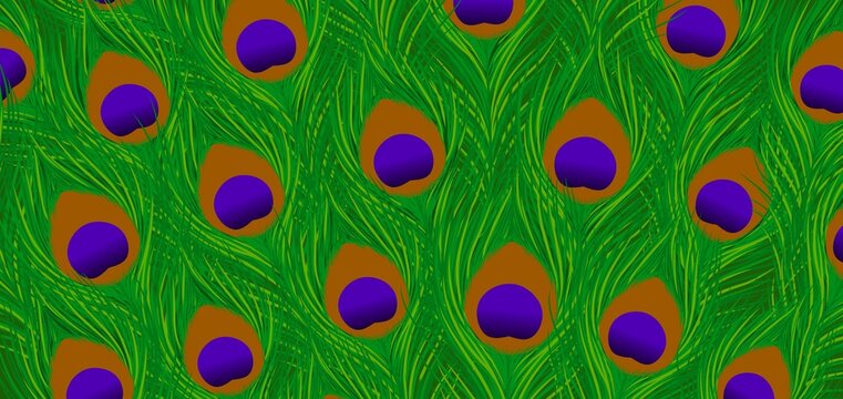 Peacock feather background, green peacock feather pattern, animal skin pattern