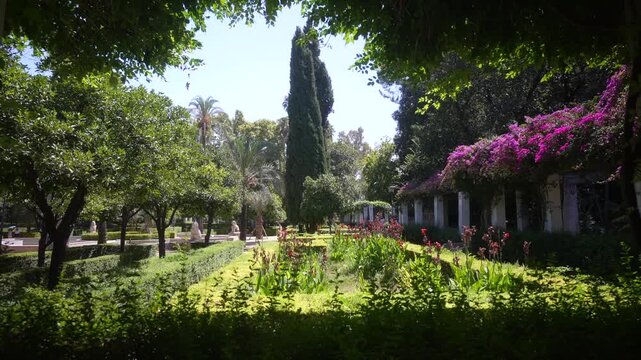 View of trees and shaded walks in Parque de Maria Luisa on a sunny day, Seville, Andalusia, Spain