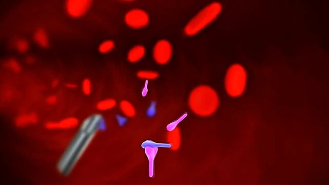 Antibodies binding specific antigen epitopes through complementary sites to form immune complexes.