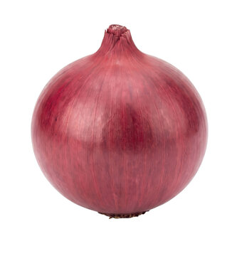 Whole red onion with vibrant purple skin on transparent background