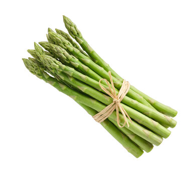 Fresh green asparagus spears tied with natural twine on transparent background