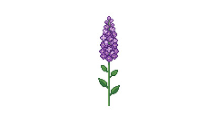 Fototapeta premium Purple foxglove digital art on png background for botanical gaming projects.