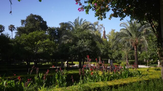View of trees and fountain in Parque de Mari&shy;a Luisa on a sunny day in Seville Seville, Andalusia, Spain