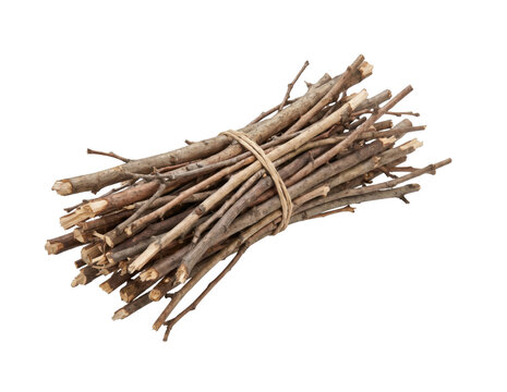Bundle of dry twigs tied with twine on transparent background