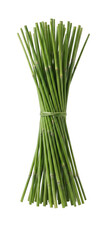 Bundle of fresh green bamboo stalks tied with twine on transparent background © Vova7