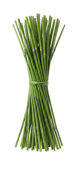 Bundle of fresh green bamboo stalks tied with twine on transparent background
