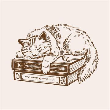 A cat lies on a stack of books. Vintage brown outline illustration on the theme of reading and cute pets.