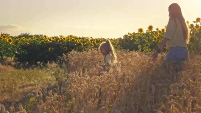 A mother, her young daughter, and a German Shepherd dog walking between a vibrant sunflower field and a golden wheat field on a bright, sunny day in Ukraine.