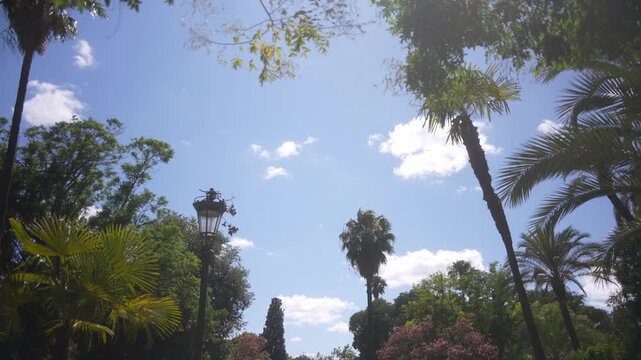View of trees and fountain in Parque de Mari&shy;a Luisa on a sunny day in Seville Seville, Andalusia, Spain