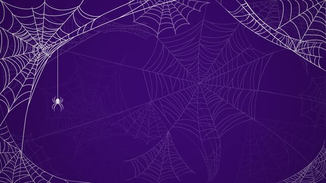 Halloween background with spiderweb and animated spider