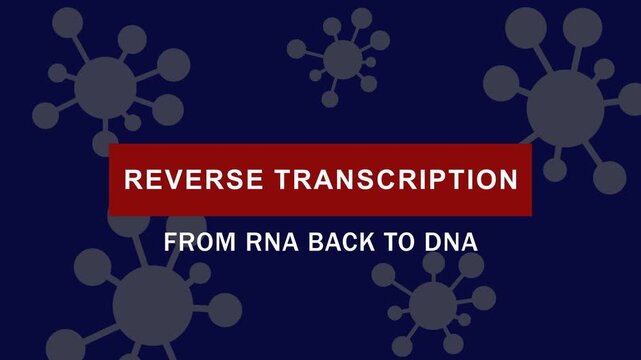 Reverse transcription process: scientific animation of rna to dna conversion for molecular biology and genetics research