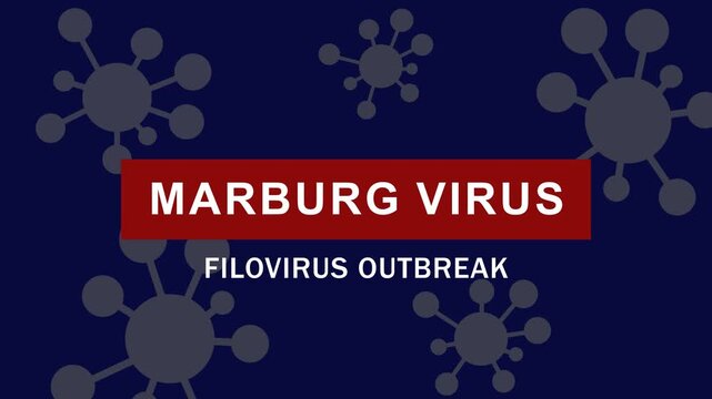 Marburg virus filovirus outbreak medical infographic motion for news and healthcare reporting epidemic