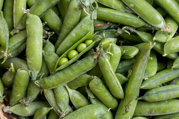 Freshly harvested green peas in pods, a bountiful and healthy garden produce © Shanon