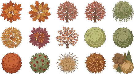 Fototapeta premium Diverse Autumn Trees Top View Collection with Seasonal Foliage in Flat Vector Style