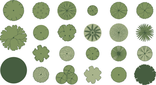 Various green trees seen from above in a simple vector illustration for landscape design