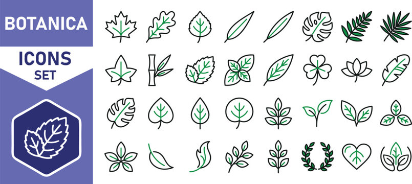 Collection of botanica leaf icons and nature symbols in a clean vector illustration design on transparent background