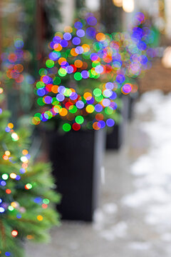 Defocused multicolored holiday lights create bokeh. Green pine branch on left. White snow on ground. Festive winter city background