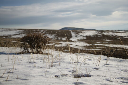 Snow-Covered Landscape with Dry Grass and Mountain in Sevan, Armenia