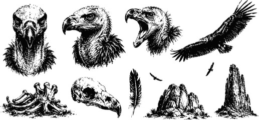 Fototapeta premium vulture illustrations and skulls black and white detailed bird heads, flying wings, skeletal remains and rocky landscape