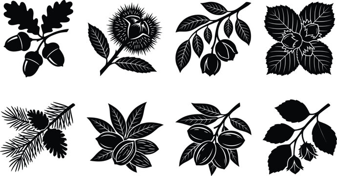 Silhouette vector set of autumn forest nuts including acorns chestnuts hazelnuts and pine cones