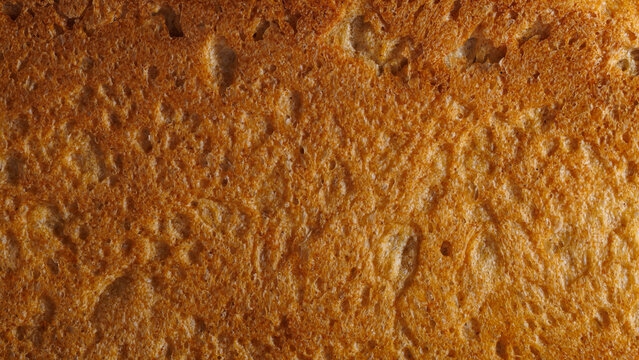 Brown bread crumb texture in extreme close up, detailed porous baked food background