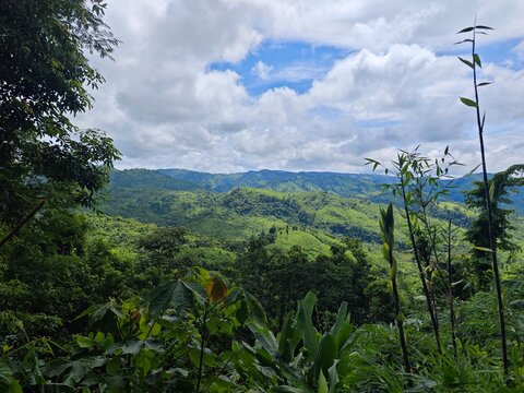 Rolling Green Hills Landscape
