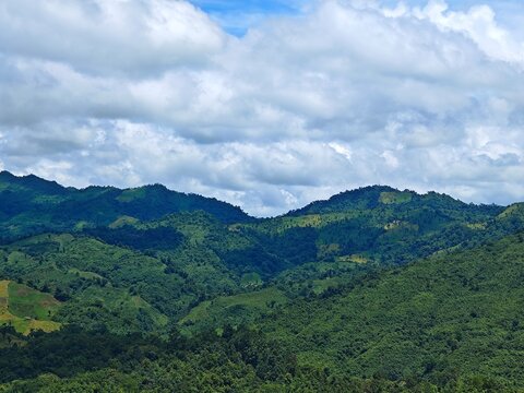 Rolling Green Hills Landscape