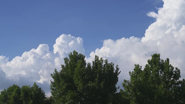 White cumulus clouds over a tree-lined landscape