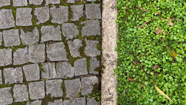 Cobblestone pavement border next to green ground cover and small plants, separating urban surface texture from nature with a concrete curb line, creating a clear division