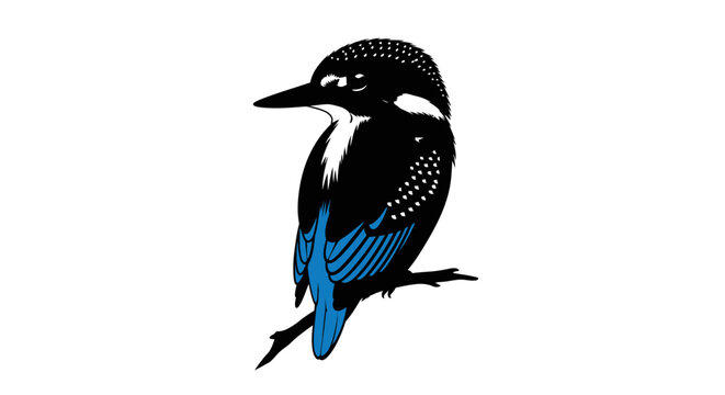 Kingfisher bird sitting on branch facing left