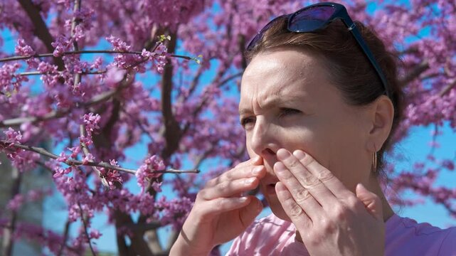 Feeling sneezing by sakura. A view of frustrated woman scratching her nose and sneezing by the blooming sakura during spring time