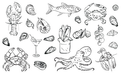 Obraz premium Set of seafood and fish vector illustrations in linear style