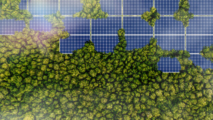 Solar panels installed in the green forest Clean alternative energy concept. Environment, solar energy, generator. © Philip
