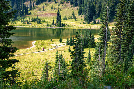Tipsoo Mountain Lake 5