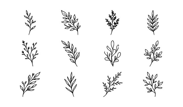 Minimalist Botanical Branch Line Art Vector Collection for Natural Logo Branding Packaging and Decor