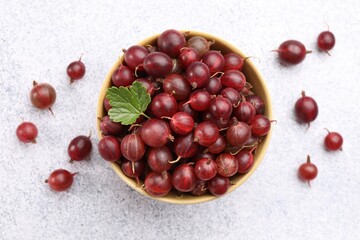 Fresh red gooseberries, green leaf and bowl on grey textured table, flat lay © New Africa