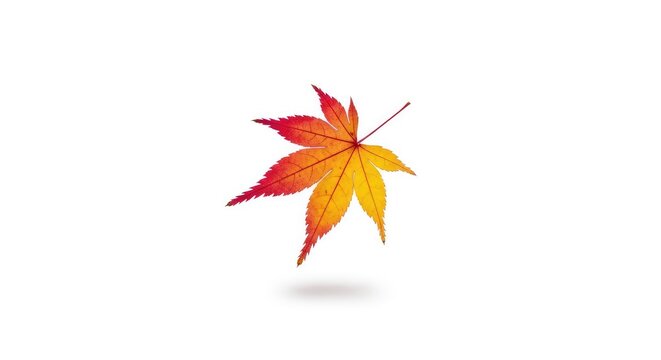 A single fragile leaf descends slowly through a clean void, capturing a gentle sense of weightless motion in a soft minimalist render, minimalist, render, slow