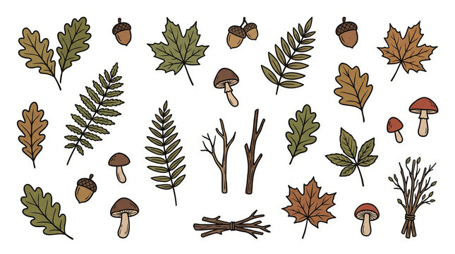 Autumn Leaves Acorns Mushrooms and Twigs Hand Drawn Fall Nature Sticker Set Png Photo - autumn leaves, fall foliage, acorns, mushrooms, oak leaf, maple leaf, twigs, sticks, fern leaf, forest elements