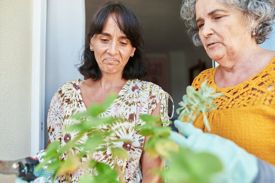 Women learning gardening from an older woman