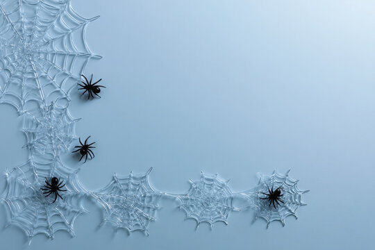 Halloween background with plastic spider webs and spiders on blue surface