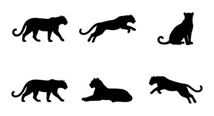 Fototapeta premium Black Panther Silhouettes, Big Cat Vector Icons, Wild Animal Poses, Elegant Feline Graphics, Predator Collection